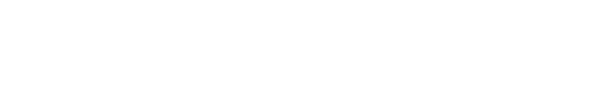 ZOAK Consulting
